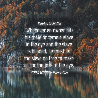 Picture 04 - Exodus 21:26 GW - “Whenever an owner hits his male or female - Bible Verse Picture