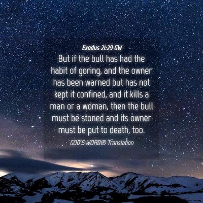 Picture 04 - Exodus 21:29 GW - But if the bull has had the habit of goring, and - Bible Verse Picture