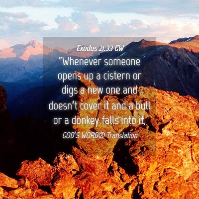 Picture 04 - Exodus 21:33 GW - “Whenever someone opens up a cistern or digs a - Bible Verse Picture