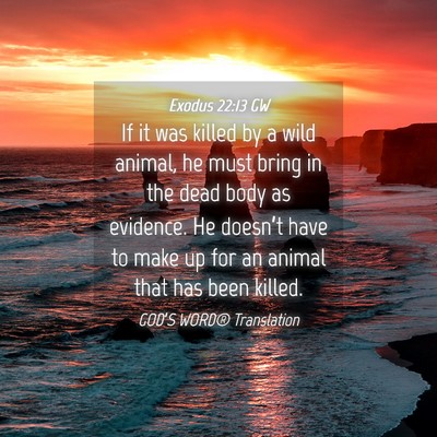 Picture 04 - Exodus 22:13 GW - If it was killed by a wild animal, he must bring - Bible Verse Picture