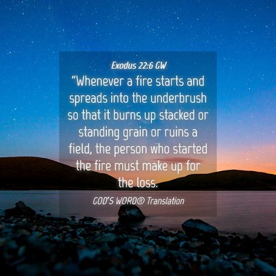 Picture 04 - Exodus 22:6 GW - “Whenever a fire starts and spreads into the - Bible Verse Picture