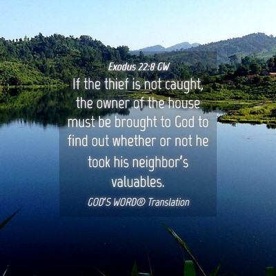 Picture 04 - Exodus 22:8 GW - If the thief is not caught, the owner of the - Bible Verse Picture