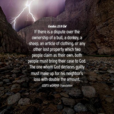 Picture 04 - Exodus 22:9 GW - If there is a dispute over the ownership of a - Bible Verse Picture