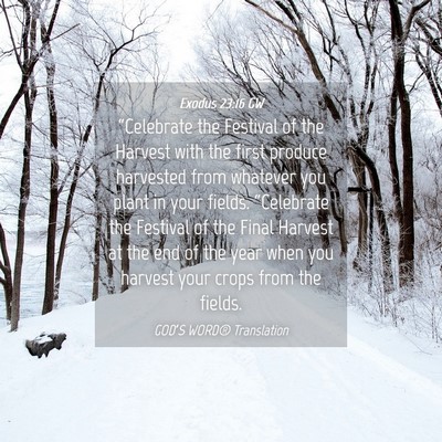 Picture 04 - Exodus 23:16 GW - “Celebrate the Festival of the Harvest with the - Bible Verse Picture