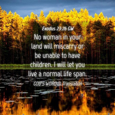 Picture 04 - Exodus 23:26 GW - No woman in your land will miscarry or be unable - Bible Verse Picture