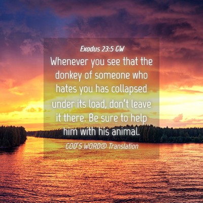 Picture 04 - Exodus 23:5 GW - Whenever you see that the donkey of someone who - Bible Verse Picture