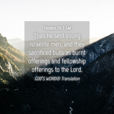 Picture 04 - Exodus 24:5 GW - Then he sent young Israelite men, and they - Bible Verse Picture