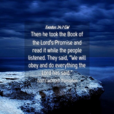 Picture 04 - Exodus 24:7 GW - Then he took the Book of the Lord’s Promise and - Bible Verse Picture