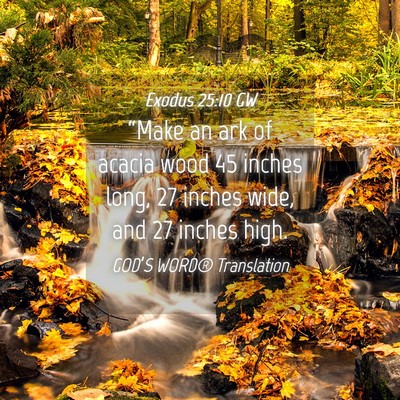 Picture 04 - Exodus 25:10 GW - “Make an ark of acacia wood 45 inches long, 27 - Bible Verse Picture
