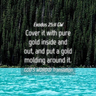 Picture 04 - Exodus 25:11 GW - Cover it with pure gold inside and out, and put a - Bible Verse Picture