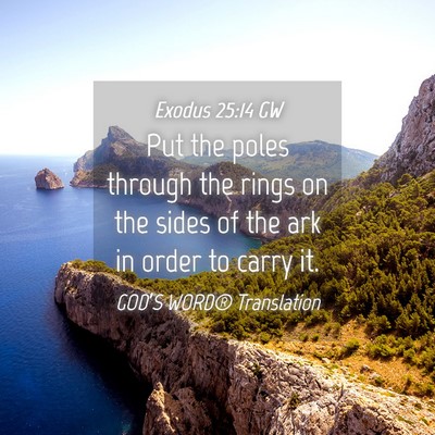 Picture 04 - Exodus 25:14 GW - Put the poles through the rings on the sides of - Bible Verse Picture