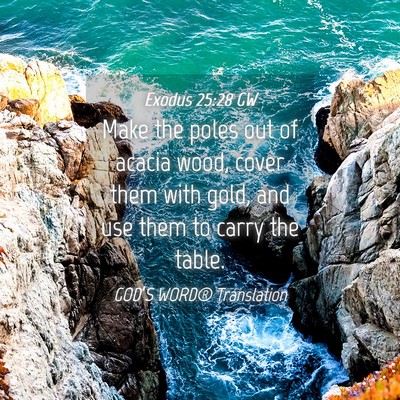Picture 04 - Exodus 25:28 GW - Make the poles out of acacia wood, cover them - Bible Verse Picture