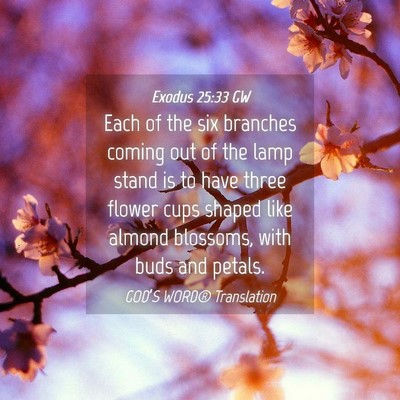 Picture 04 - Exodus 25:33 GW - Each of the six branches coming out of the lamp - Bible Verse Picture