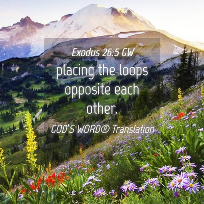 Picture 04 - Exodus 26:5 GW - placing the loops opposite each - Bible Verse Picture