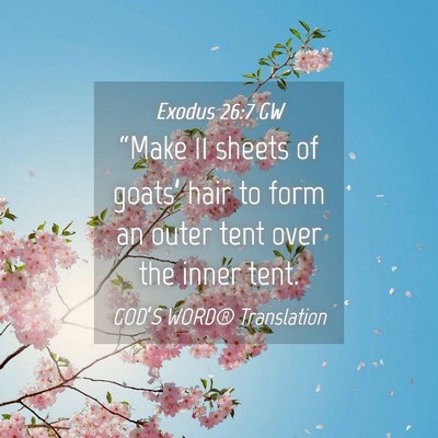 Picture 04 - Exodus 26:7 GW - “Make 11 sheets of goats’ hair to form an - Bible Verse Picture