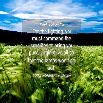 Picture 04 - Exodus 27:20 GW - “For the lighting, you must command the - Bible Verse Picture