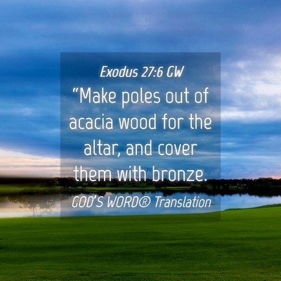 Picture 04 - Exodus 27:6 GW - “Make poles out of acacia wood for the altar, - Bible Verse Picture