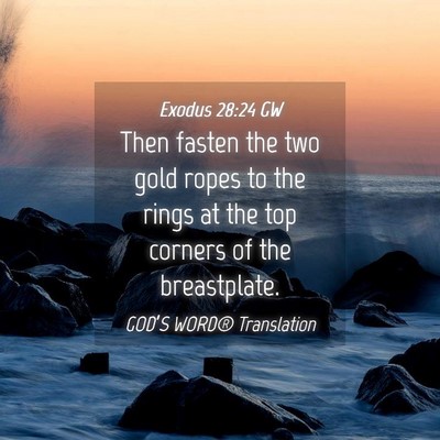 Picture 04 - Exodus 28:24 GW - Then fasten the two gold ropes to the rings at - Bible Verse Picture