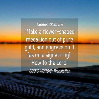 Picture 04 - Exodus 28:36 GW - “Make a flower-shaped medallion out of pure - Bible Verse Picture