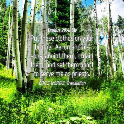 Picture 04 - Exodus 28:41 GW - Put these clothes on your brother Aaron and his - Bible Verse Picture