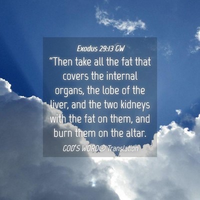 Picture 04 - Exodus 29:13 GW - “Then take all the fat that covers the internal - Bible Verse Picture