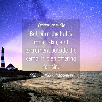 Picture 04 - Exodus 29:14 GW - But burn the bull’s meat, skin, and excrement - Bible Verse Picture
