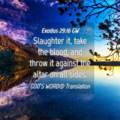 Picture 04 - Exodus 29:16 GW - Slaughter it, take the blood, and throw it - Bible Verse Picture