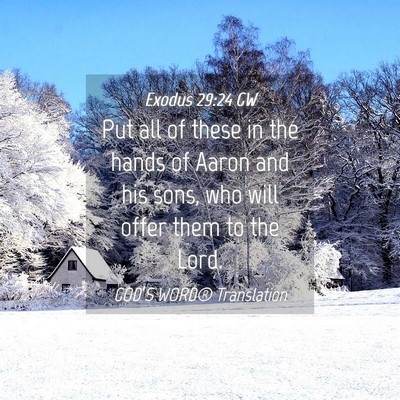 Picture 04 - Exodus 29:24 GW - Put all of these in the hands of Aaron and his - Bible Verse Picture