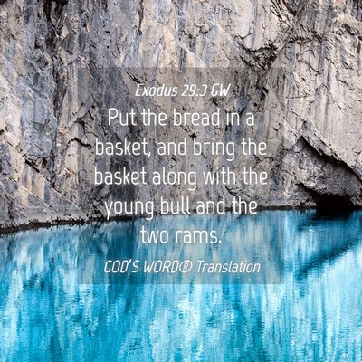 Picture 04 - Exodus 29:3 GW - Put the bread in a basket, and bring the basket - Bible Verse Picture