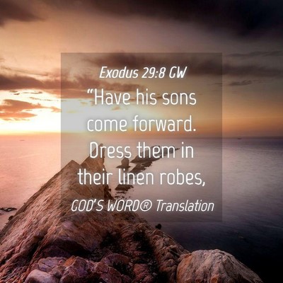 Picture 04 - Exodus 29:8 GW - “Have his sons come forward. Dress them in - Bible Verse Picture