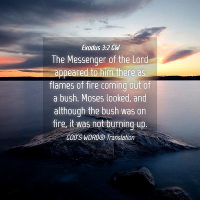 Picture 04 - Exodus 3:2 GW - The Messenger of the Lord appeared to him there - Bible Verse Picture