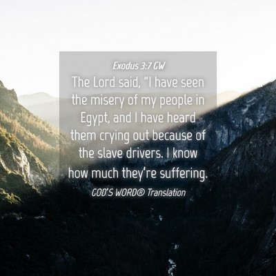 Picture 04 - Exodus 3:7 GW - The Lord said, “I have seen the misery of my - Bible Verse Picture