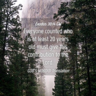 Picture 04 - Exodus 30:14 GW - Everyone counted who is at least 20 years old - Bible Verse Picture