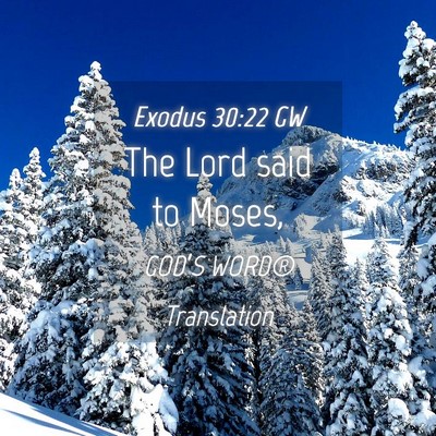 Picture 04 - Exodus 30:22 GW - The Lord said to - Bible Verse Picture