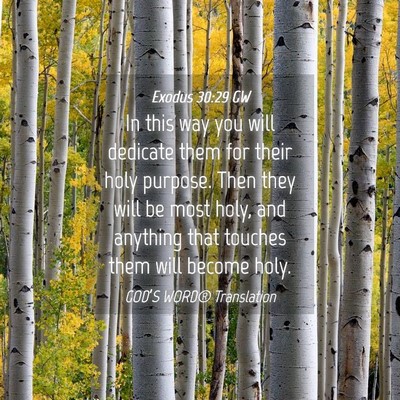 Picture 04 - Exodus 30:29 GW - In this way you will dedicate them for their holy - Bible Verse Picture