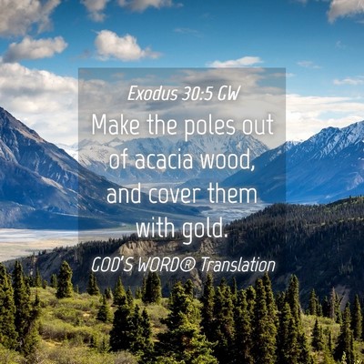 Picture 04 - Exodus 30:5 GW - Make the poles out of acacia wood, and cover them - Bible Verse Picture