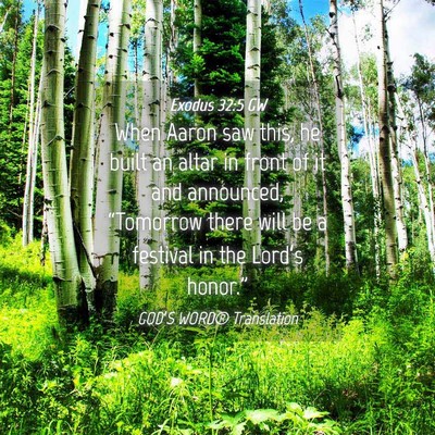 Picture 04 - Exodus 32:5 GW - When Aaron saw this, he built an altar in front - Bible Verse Picture
