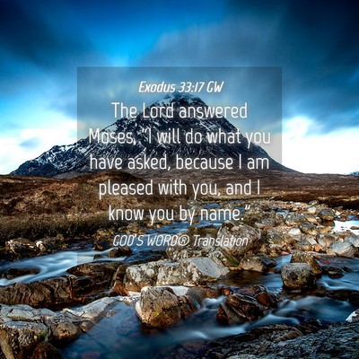Picture 04 - Exodus 33:17 GW - The Lord answered Moses, “I will do what you - Bible Verse Picture