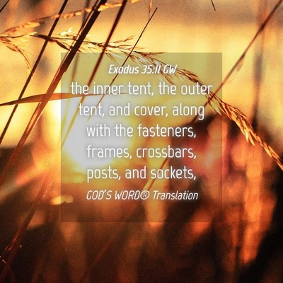 Picture 04 - Exodus 35:11 GW - the inner tent, the outer tent, and cover, along - Bible Verse Picture