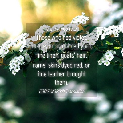 Picture 04 - Exodus 35:23 GW - Those who had violet, purple, or bright red yarn, - Bible Verse Picture