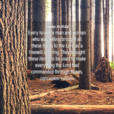 Picture 04 - Exodus 35:29 GW - Every Israelite man and woman who was willing - Bible Verse Picture