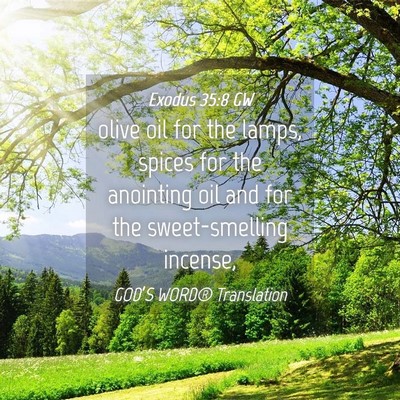 Picture 04 - Exodus 35:8 GW - olive oil for the lamps, spices for the anointing - Bible Verse Picture