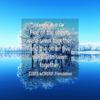 Picture 04 - Exodus 36:10 GW - Five of the sheets were sewn together, and the - Bible Verse Picture
