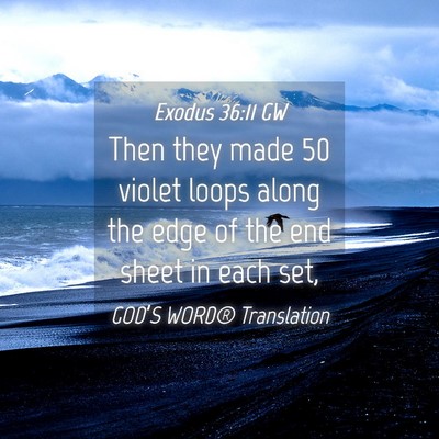 Picture 04 - Exodus 36:11 GW - Then they made 50 violet loops along the edge of - Bible Verse Picture