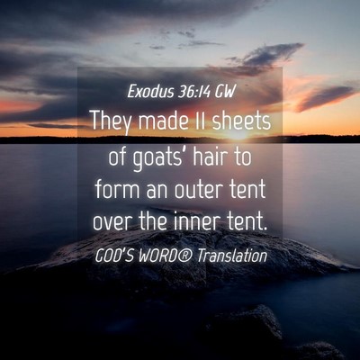 Picture 04 - Exodus 36:14 GW - They made 11 sheets of goats’ hair to form an - Bible Verse Picture