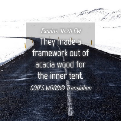 Picture 04 - Exodus 36:20 GW - They made a framework out of acacia wood for the - Bible Verse Picture