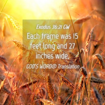 Picture 04 - Exodus 36:21 GW - Each frame was 15 feet long and 27 inches - Bible Verse Picture