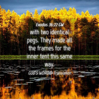 Picture 04 - Exodus 36:22 GW - with two identical pegs. They made all the frames - Bible Verse Picture