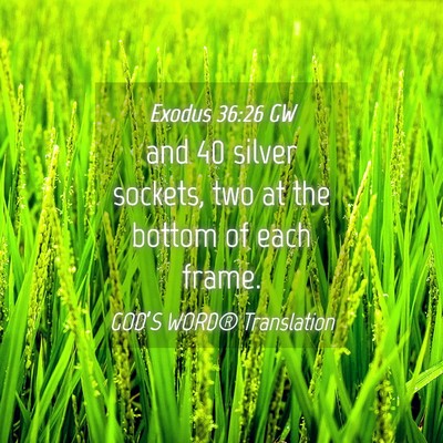 Picture 04 - Exodus 36:26 GW - and 40 silver sockets, two at the bottom of each - Bible Verse Picture