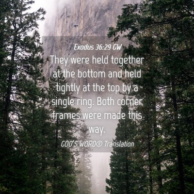 Picture 04 - Exodus 36:29 GW - They were held together at the bottom and held - Bible Verse Picture